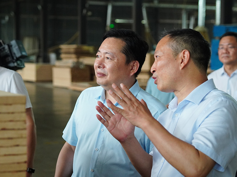 桃花江竹材董事長正在向熊市長匯報(bào)